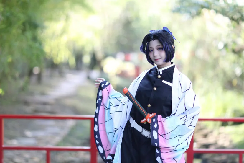 09012025 beeld ibaricon winters fade002