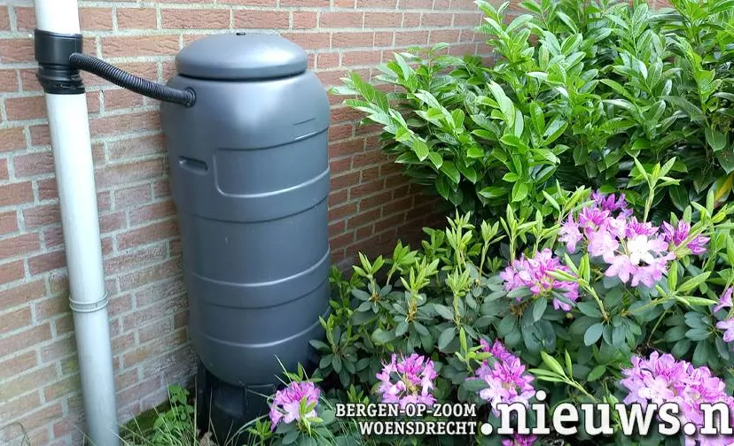 20240507 jkr hoo regenton