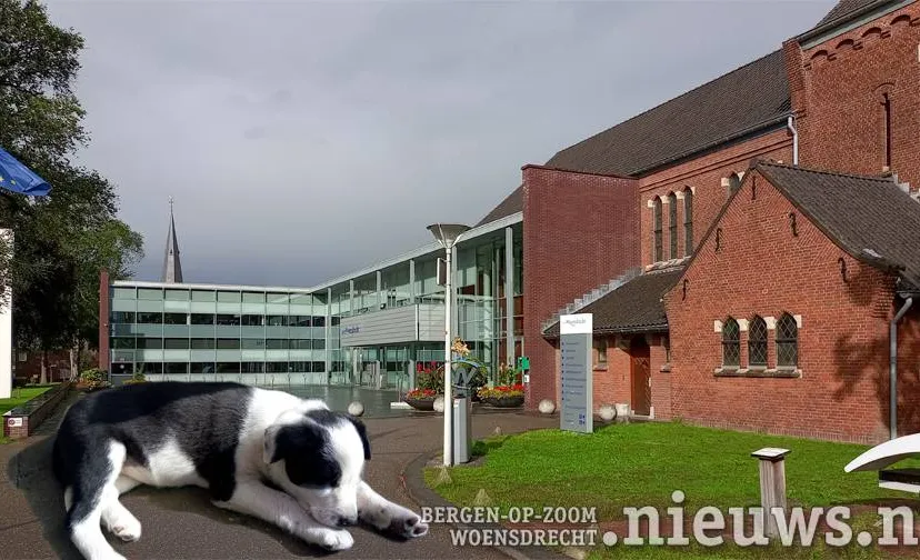 202250610 jkr hoo gemeentehuis hondenbelasting