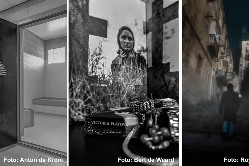 202506 uit de kunst bibliotheek hoogerheide