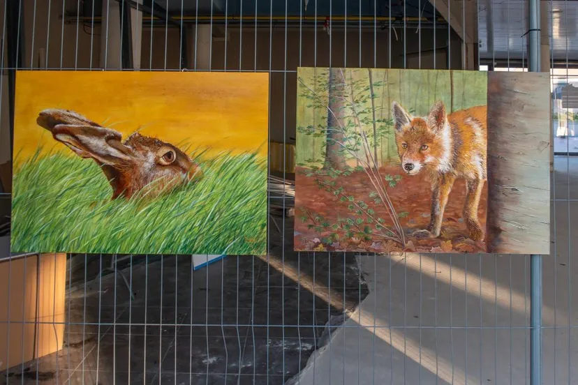 20250818-IMG_2528 (Middel)