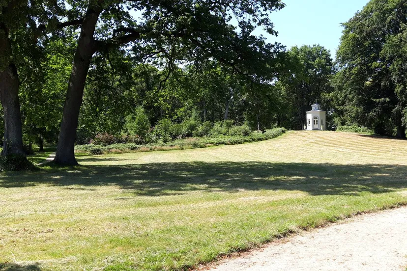 20250821 Foto Ad van Loenhout