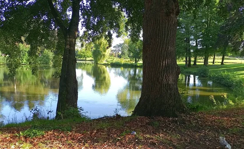 20230815_JKr_BoZ_Anton_van_Duinkeekenpark_002a