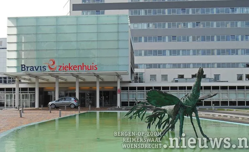 20170707_BoZ_Bravis_04a_896_504