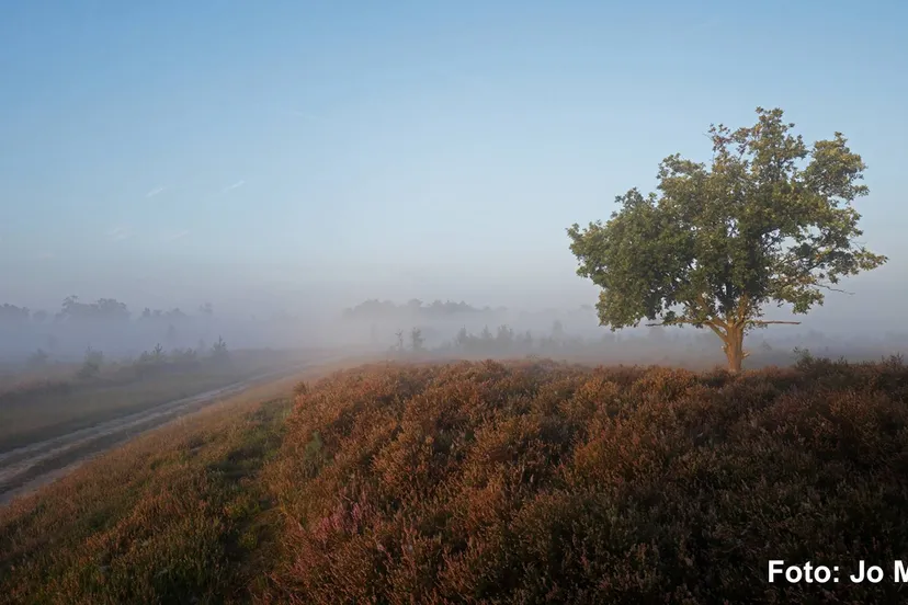 DagvandeStilte_Jo Meul