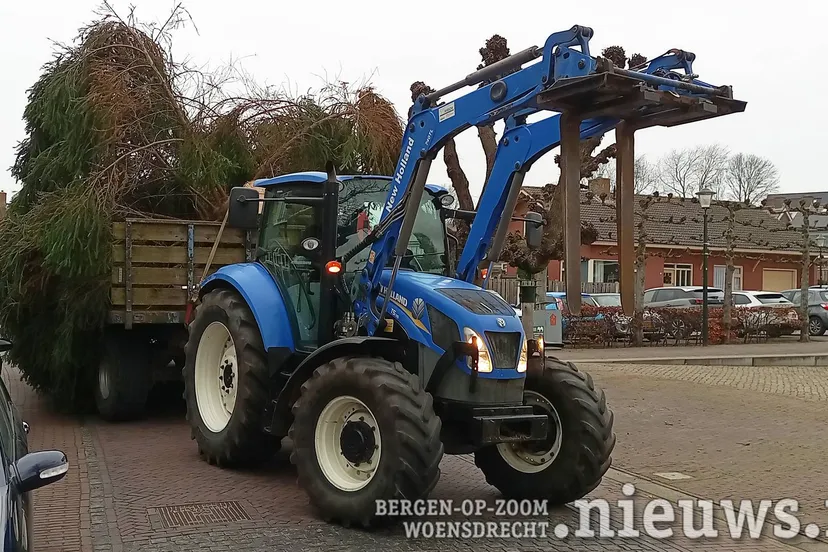 20251212_Woe_Kerstboom_001