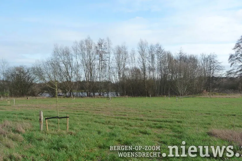 20251218_JKr_Hoo_Gedenkbos_001