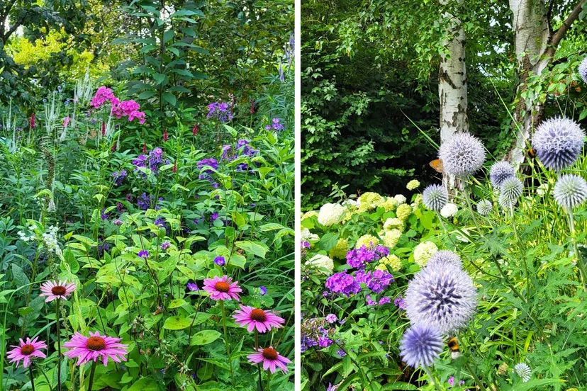 Slingertuin A