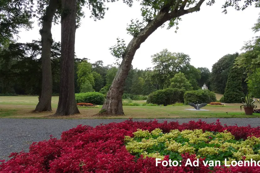 20260714_Foto Ad van Loenhout