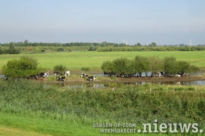 20200814_Polder_Rilland