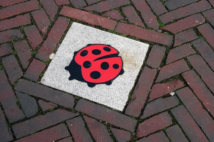 2008 09 alphen geen geweld