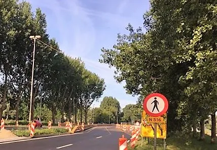 20728129 1609436019114618 3228345622971522847 n