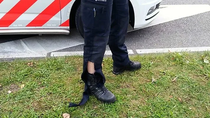 21032743 1934491023486874 4715826838805710109 n