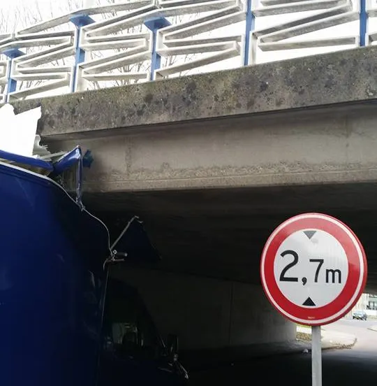 22885795 1961829564086353 4661497292863694206 n