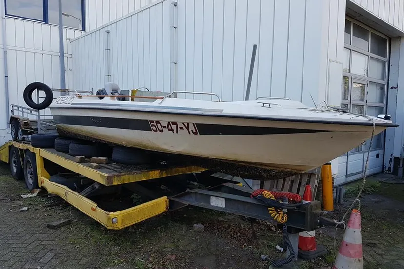 23130901 1963153893953920 5974186838670844216 n