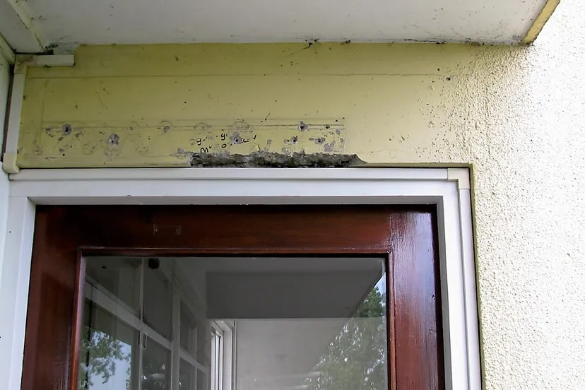 5817863072 1bd4af990c b