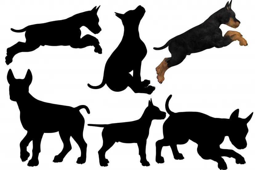 6 puppies silhouette