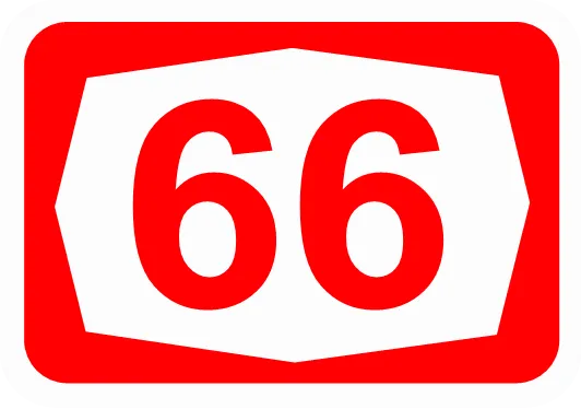 66