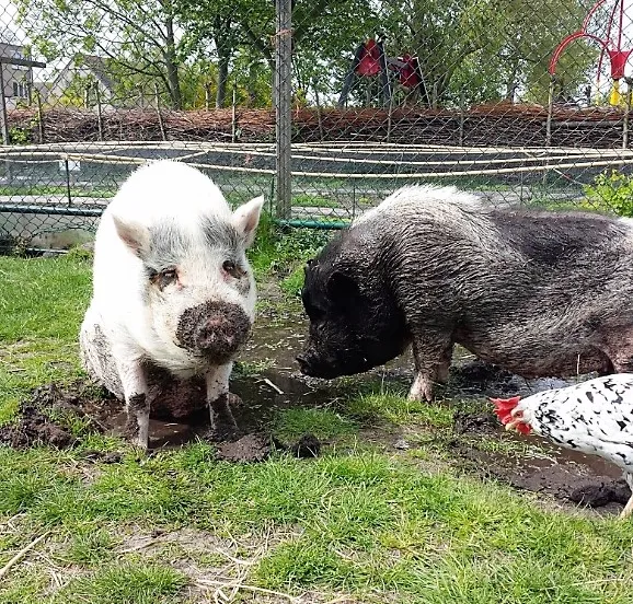 b7085759d5f24221a19255c7c4e26c8d