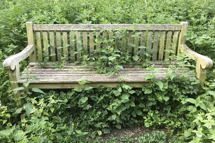 bench 2358813 960 720