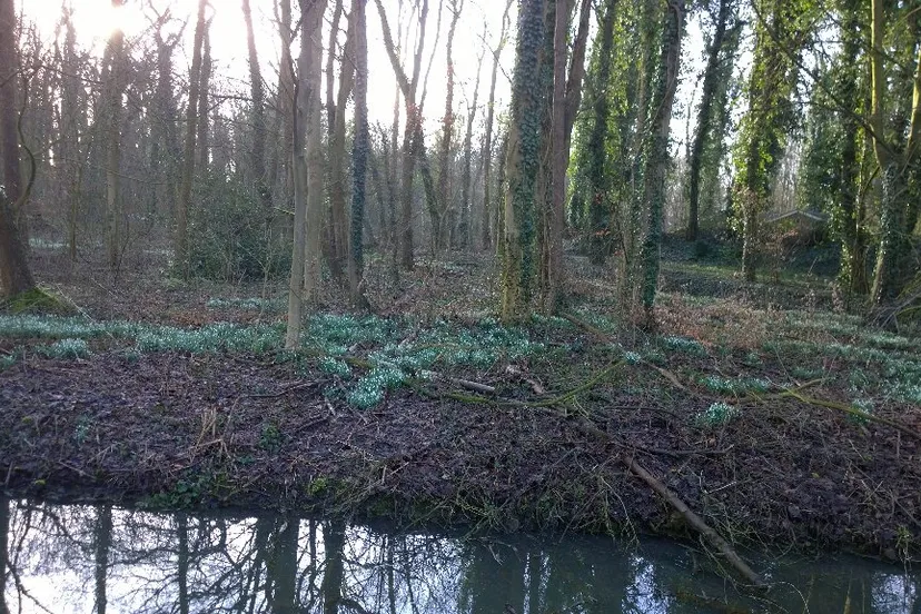 c5 st8twmaelmv0jpg large