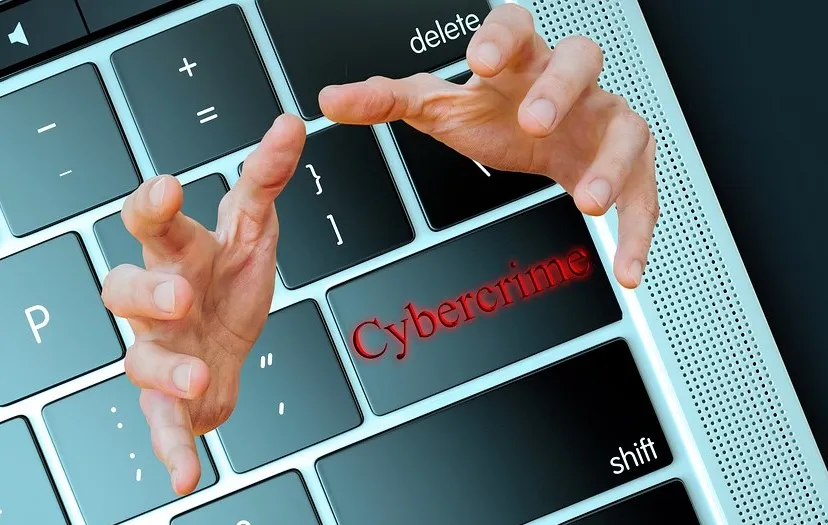 cybercrime