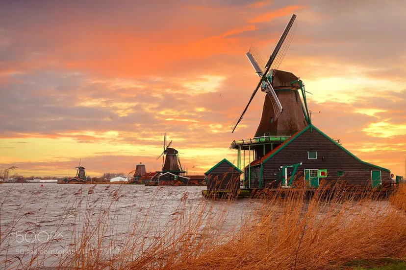 dd m k6xsaikecujpg large