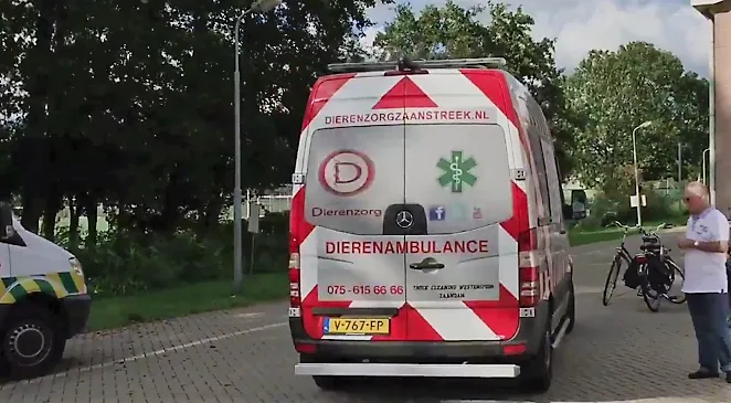 fdefacd1 362c 44c7 a4f8 99e75a072add