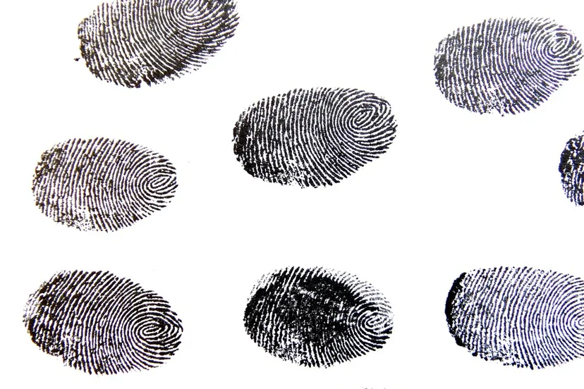 fingerprints