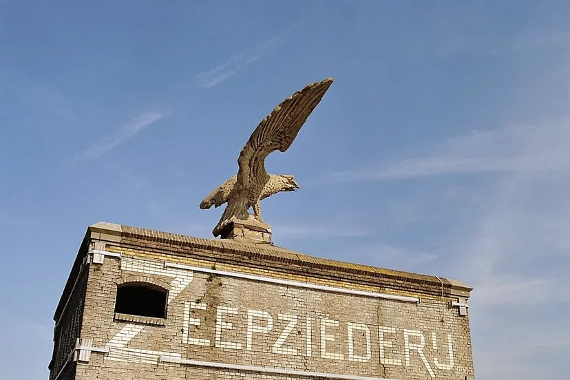 gevel van toren met adelaar wormerveer 20356379 rce