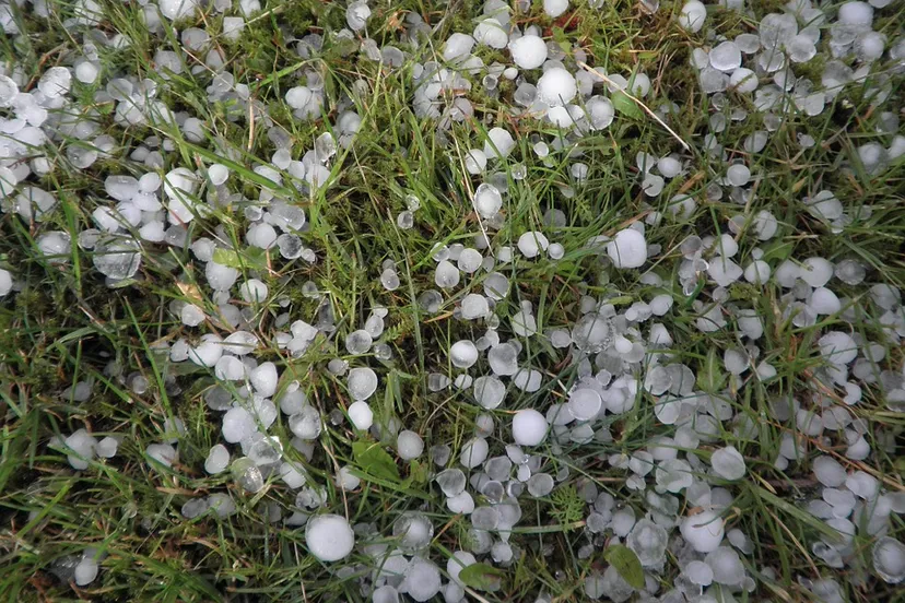 hagel