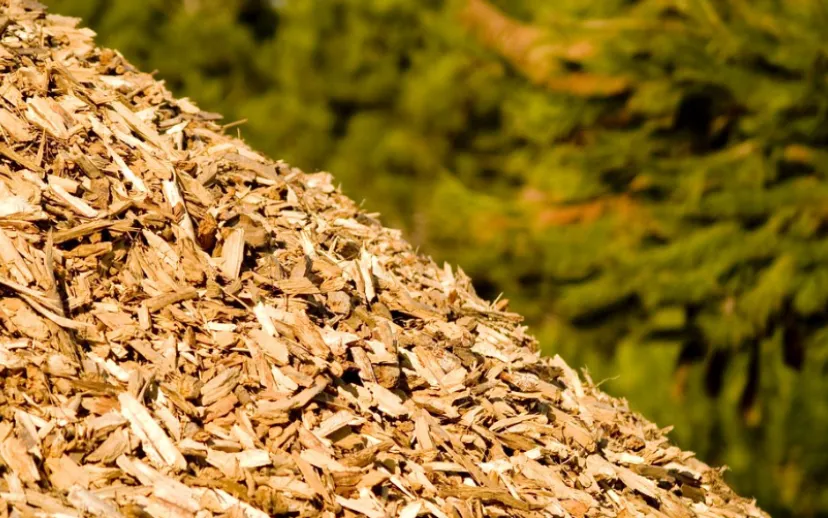 hout biomassacentrale