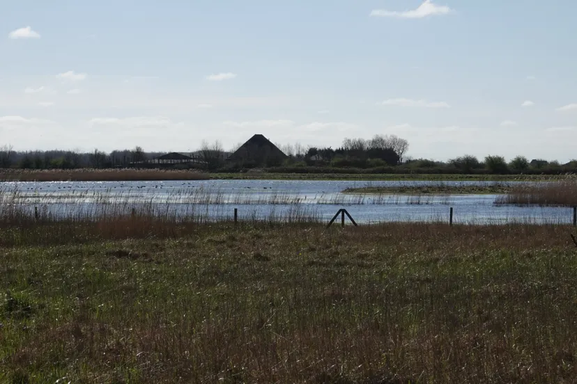 oer ij in het landschap png 1 large