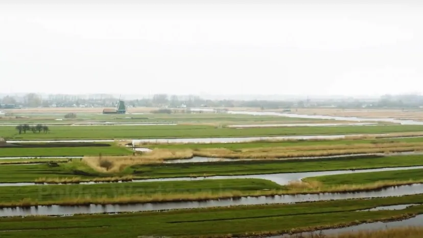 polder westzaan