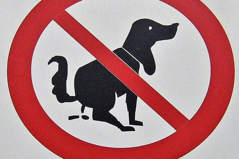 schild hundehaufen 31