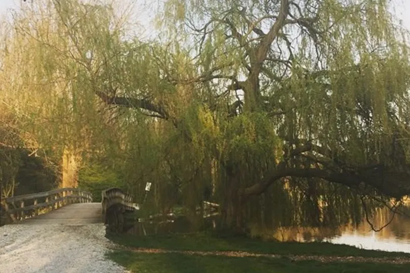 screenshot 2019 05 28 out and about op twitter vijfhoekpark laid out in 1960s in 1988 scottish highlanders were brought her