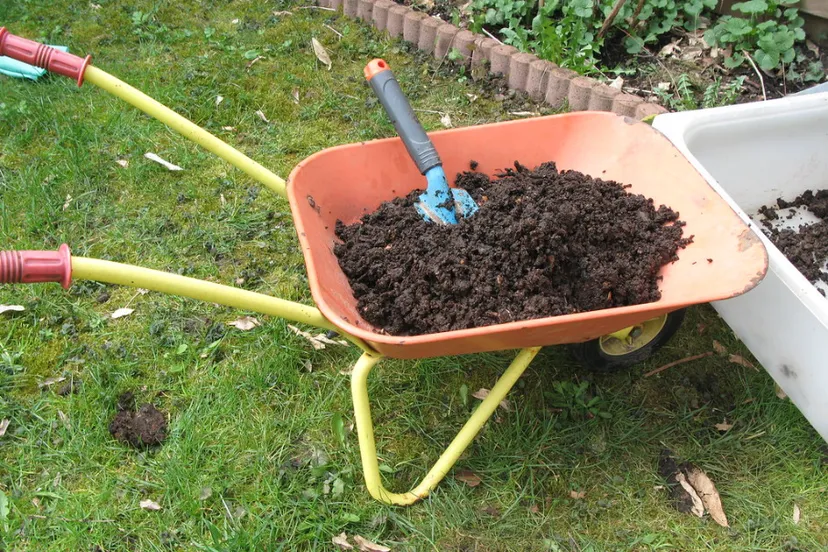 screenshot 2019 06 03 compost after sieving