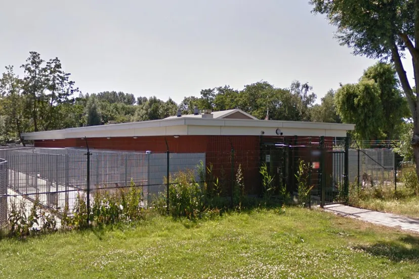 screenshot 2019 06 06 euronext