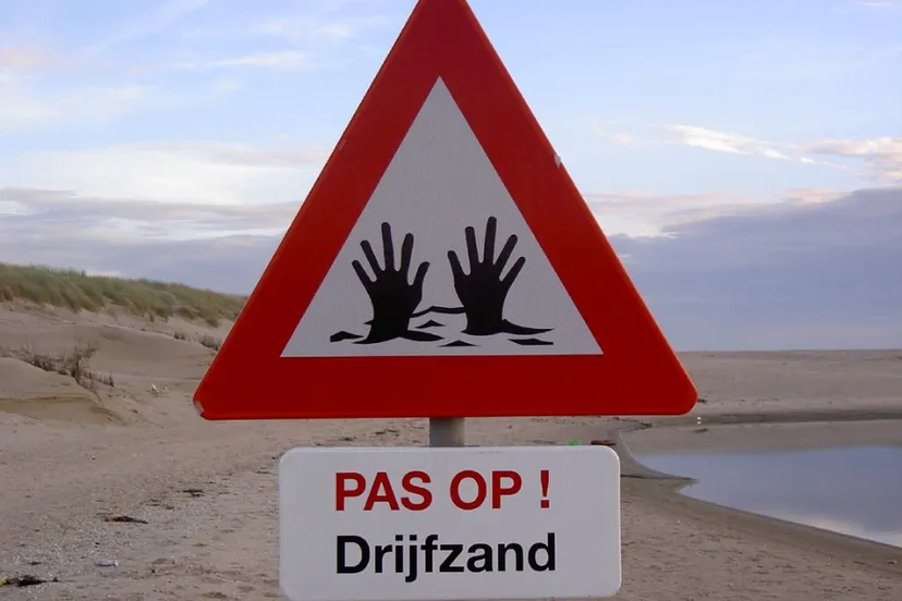 screenshot 2019 06 20 texel 2004 178