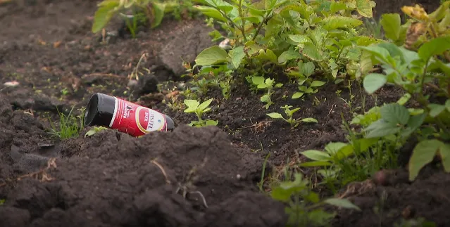 screenshot 20190716 052444