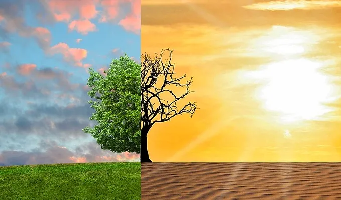 screenshot 20190722 141809