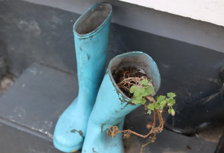 screenshot 20190728 114359