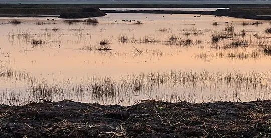 screenshot 20190805 155210