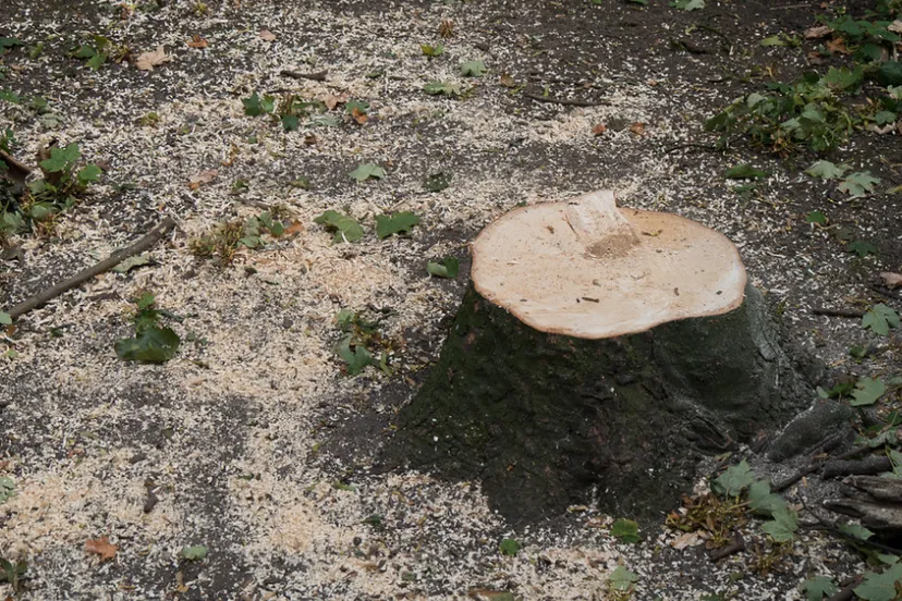 screenshot 20190905 093451