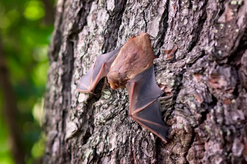 screenshot 20190913 151849