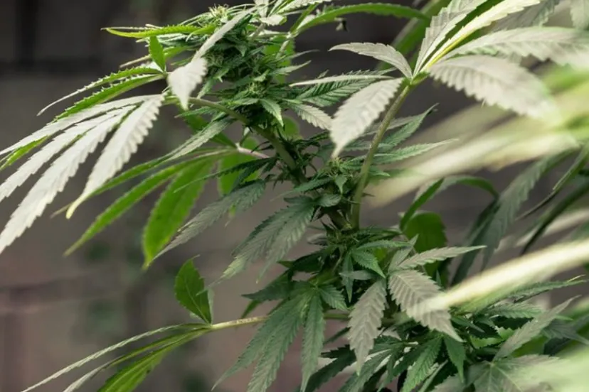 screenshot 20190920 141633