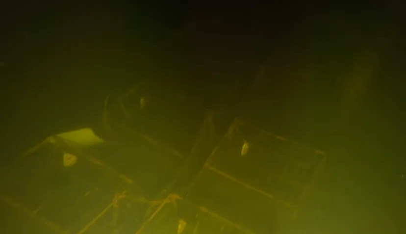 screenshot 20191103 072719