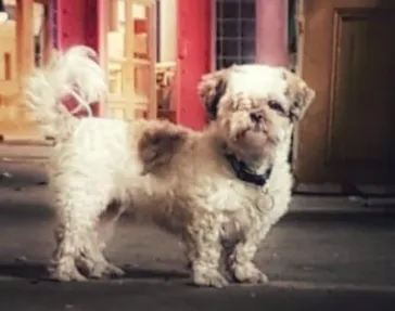 screenshot 20191103 143016