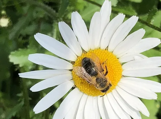 screenshot 20191104 093915