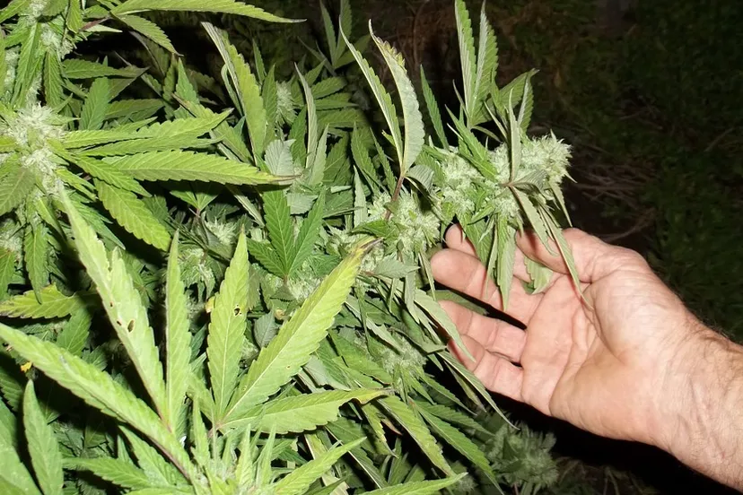 screenshot 20191104 155938